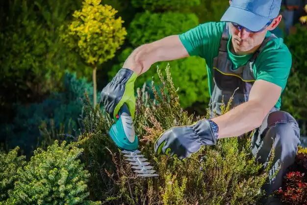 landscaping services New Llano